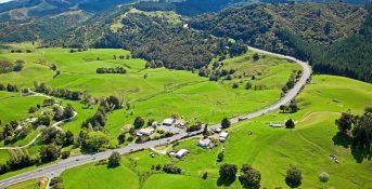 Puhoi aerial view - lush green fields and forest with a small group of buildings